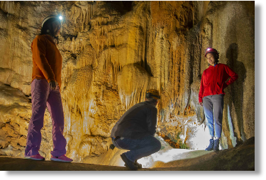 Cristallisations de calcite (Trabuc)