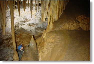 Cristallisations de calcite (Trabuc)